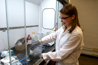 Heather Jamieson lab